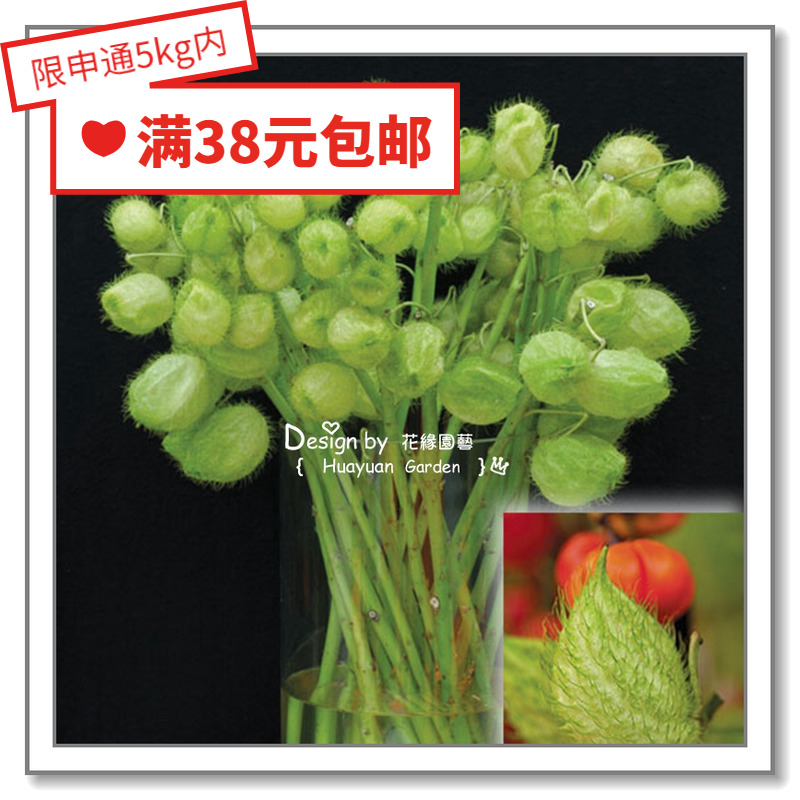 花缘咸进口日本花缘咸菜