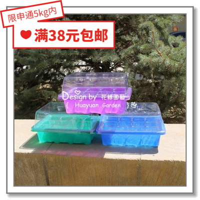 花缘咸菜12育苗箱可见根系一组