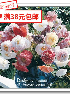 花缘咸菜进口花种子英国