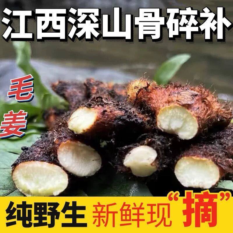新鲜骨碎补野生中药材新鲜巴岩姜煲汤泡酒中草药毛姜猴子姜500克