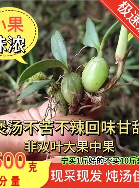现采现发新鲜纯广东石橄榄石仙桃