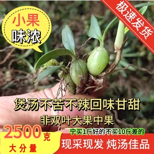 石橄榄新鲜双叶小果野石仙桃中药广东福建炖煲汤材料生岩珠果上叶