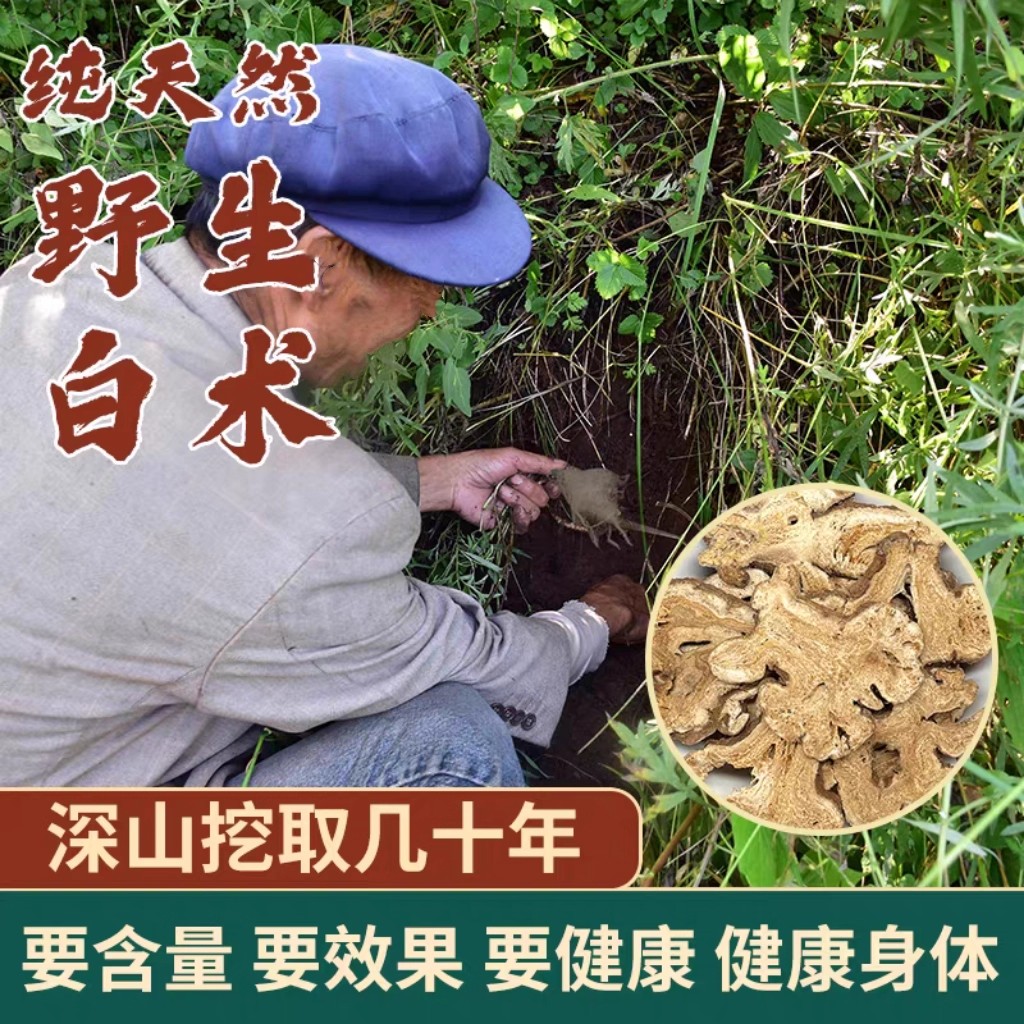 【真野生】7年以上浙白术2份八折