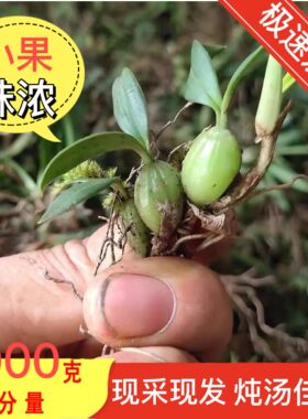 新鲜现采石橄榄石仙桃纯小果煲汤