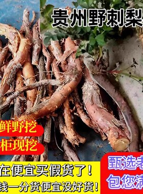 贵州野生新鲜刺梨根中药材刺藜子根泡酒泡水野茨梨根现挖500g正品