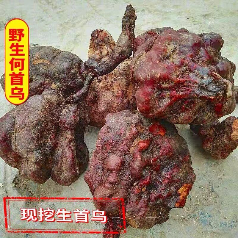 现挖贵州野生黑老何首乌新鲜生首乌大首乌干片可磨粉正品整颗药材