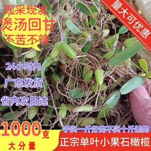 广东野石橄榄草单叶小号果新鲜生石仙桃福建潮汕煲汤材料炖汤500g