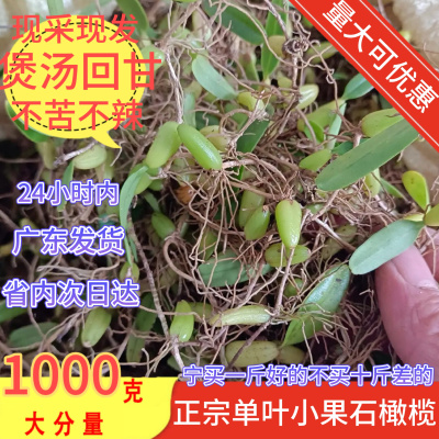广东野石橄榄草单叶小号果新鲜生石仙桃福建潮汕煲汤材料炖汤500g