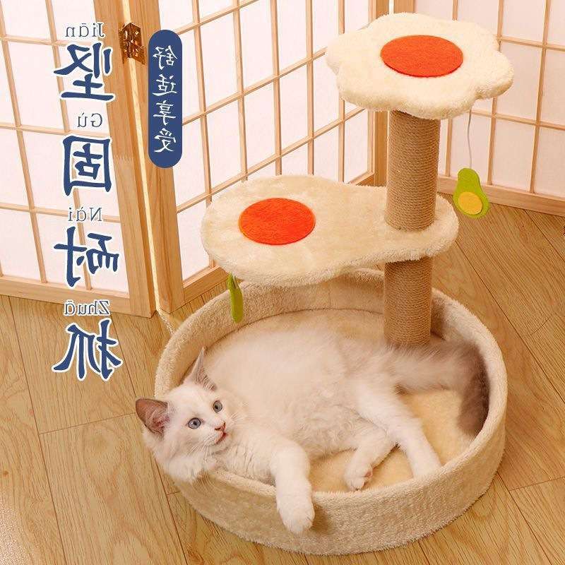 猫爬架子剑麻实木猫抓柱树屋猫玩具抓板跳台猫咪窝猫架仙人掌包邮