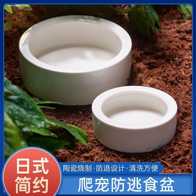 爬虫防逃食盆饲料面包虫大麦虫防逃逸守宫蜥蜴蜘蛛水盆角蛙泡澡盆