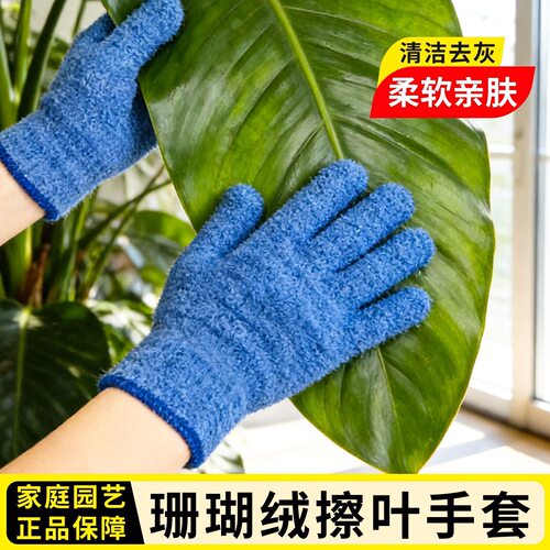 擦叶片手套工具清洁光亮抹灰蔓绿