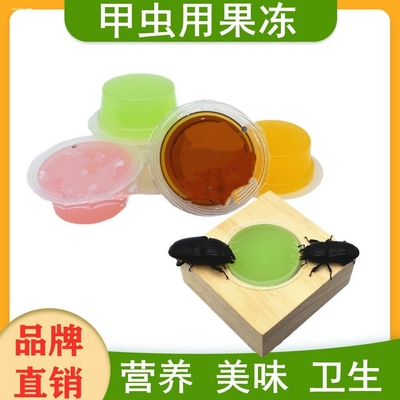 甲虫果冻独角仙果冻成兜虫长戟幼虫蚂蚁蛋白大扁锹甲食台昆虫食物
