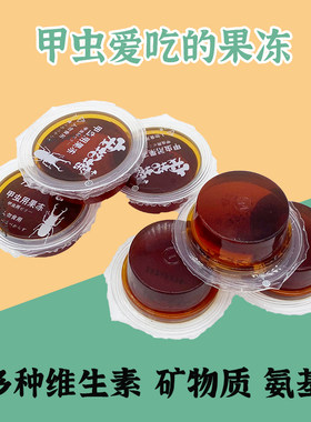 甲虫果冻独角仙果冻昆虫食物天牛兜虫蛋白幼成虫大扁蚂蚁锹甲果冻