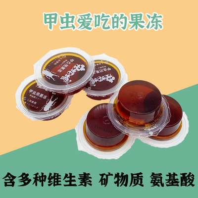 甲虫果冻独角仙果冻昆虫食物天牛兜虫蛋白幼成虫大扁蚂蚁锹甲果冻