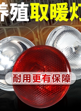 取暖泡浴霸泡养殖灯泡 防水防爆照明100W150w175W275瓦红外线灯泡