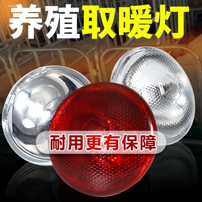 取暖泡浴霸泡养殖灯泡 防水防爆照明100W150w175W275瓦红外线灯泡