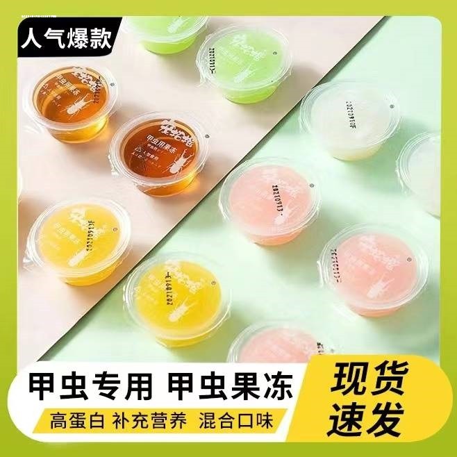 甲虫大兜虫锹甲独角仙成虫黑糖蛋白昆虫蚂蚁果冻饲料带食物台图片