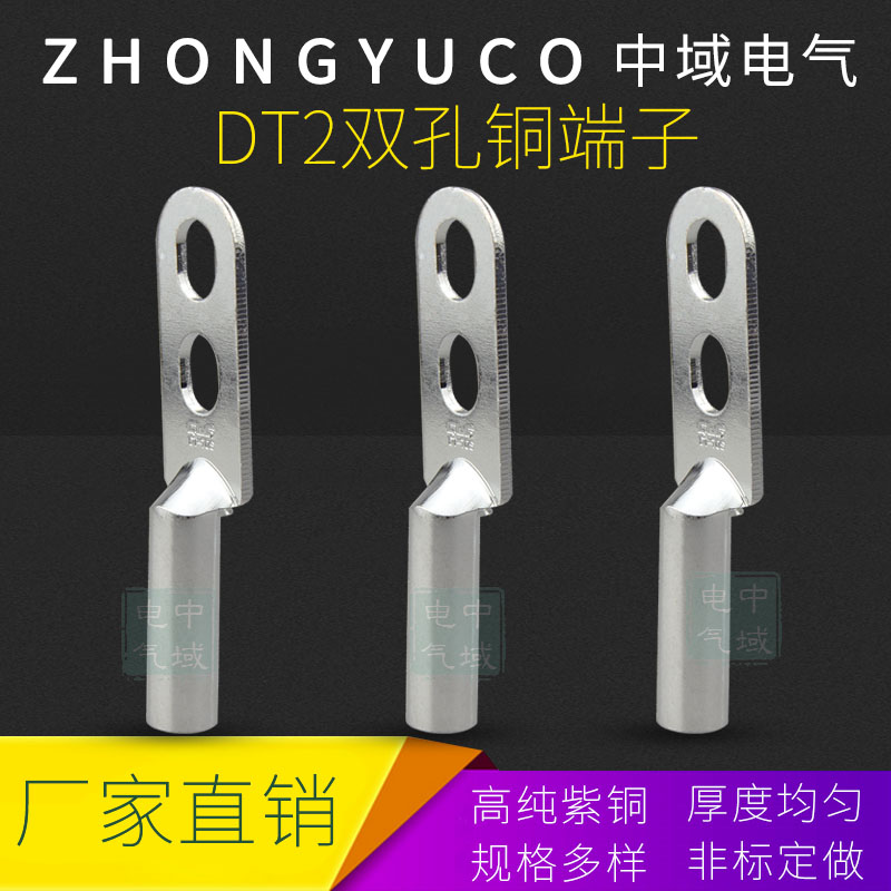 铜鼻子接线端子DTS25/35/70/95