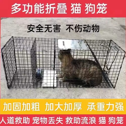 可折叠猫笼自动捕猫神器野外救援