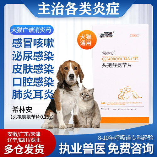 头孢羟氨苄片狗狗猫咪广谱消炎药
