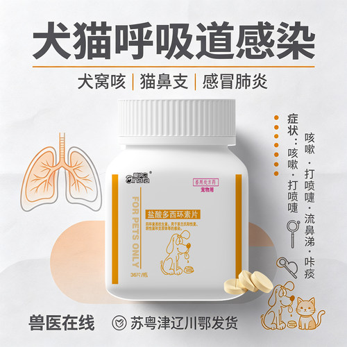爱纳它它喘宁片感冒犬窝咳治疗