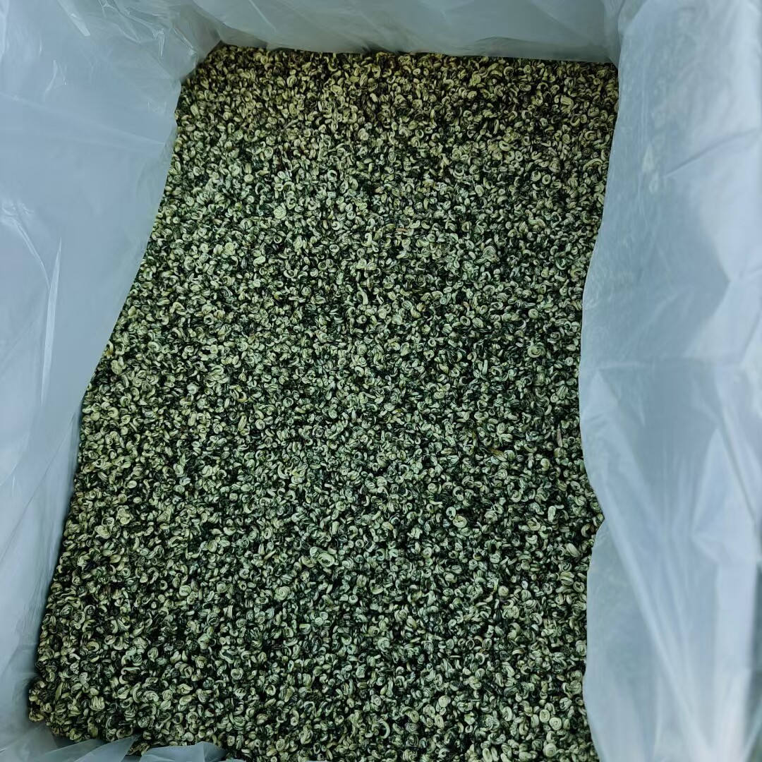 2026年新茶滇绿茶云南碧螺春小玉螺茶叶春茶散茶普洱绿茶单芽