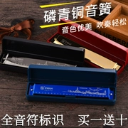 Harmonica Swan 24 lỗ đa âm C điều chỉnh giảng dạy chuyên nghiệp cho trẻ em học sinh người mới bắt đầu chơi nhạc cụ - Nhạc cụ phương Tây