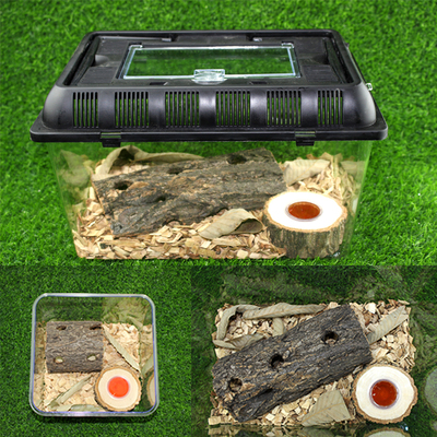 甲虫独角仙成虫用品饲料中国大扁套餐昆虫饲养箱爬虫锹甲果冻套装