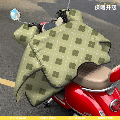 电动车挡风被冬季加厚加绒双面防水防雨防风罩电瓶车四季通用新款