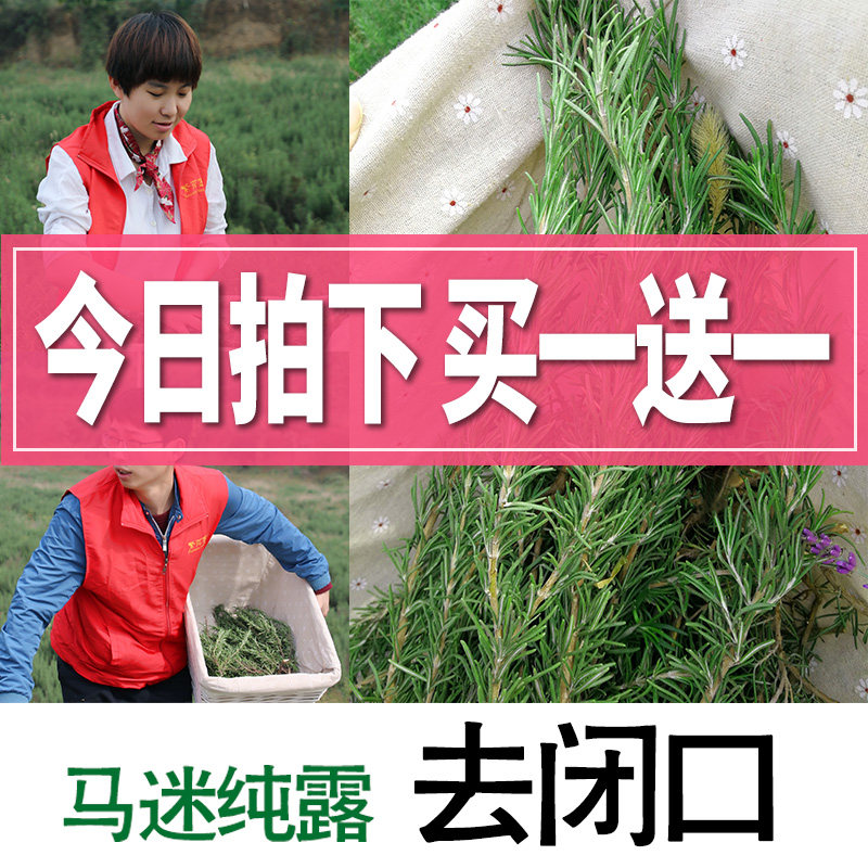 繁花密码马迷纯露 迷迭香纯露 马鞭草酮去闭口粉刺旗舰店官网正品
