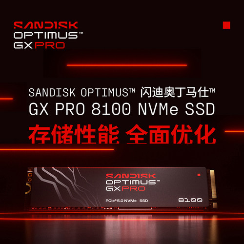 Sandisk/闪迪 GX PRO 8100 1T 2T 4T 8T NVMe5.0 SSD电脑固态硬盘