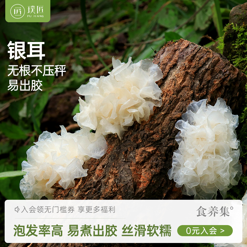 四川银耳干货糯银耳白木耳
