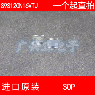 S9S12GN16VTJ TSSOP-20 进口原装 现货 汽车 微控制器 芯片