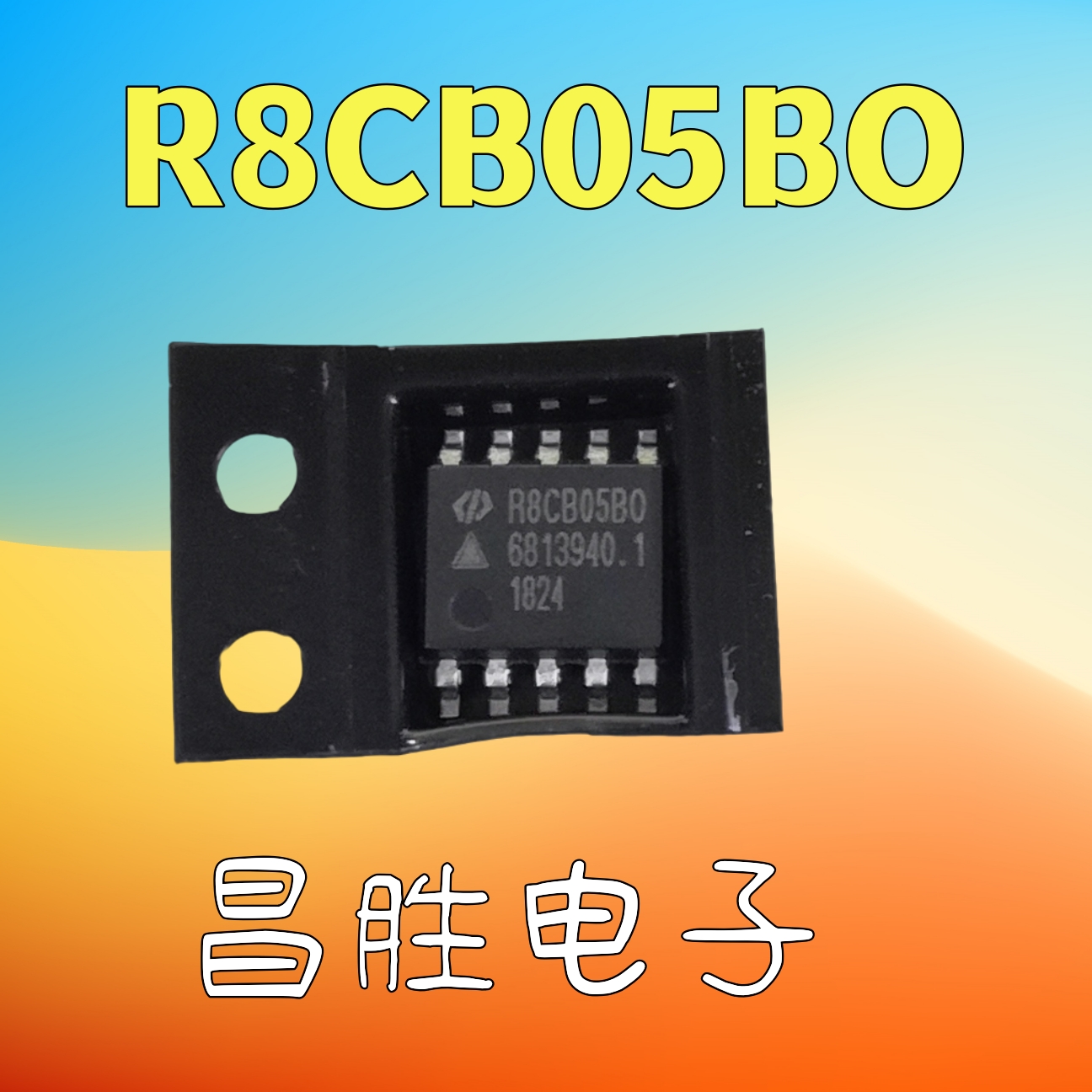 R8CB05BOR8CB05BIR8CB05BGIR
