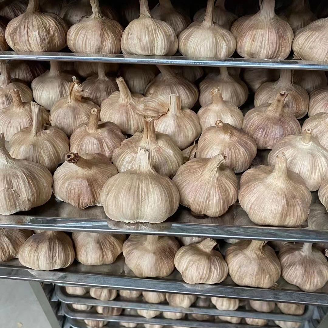 山东金乡出口级多瓣黑蒜头120黑蒜
