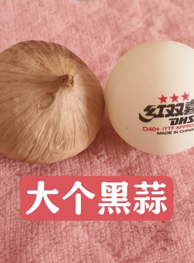 大个头发酵独头黑蒜500g罐装肉质黑色营养丰富煲汤美味即食黑大蒜