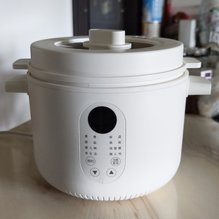 志高小型电炖锅陶瓷宝宝煮粥专用锅迷你隔水电炖盅婴儿辅食BB煲粥