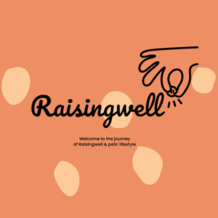 Raisingwell发顺丰差价链接