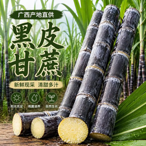 广西黑皮甘蔗现砍脆甜多汁现货