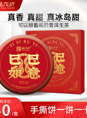 2024年春茶【巳巳如意】临沧冰岛坝歪普洱生茶纯料古树茶饼200g