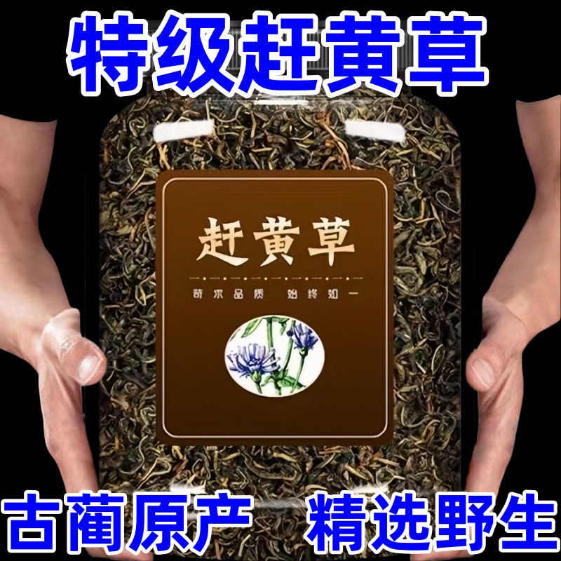 古蔺赶黄草 正宗养护肝茶叶特产级野外生非溪黄草 熬夜常备养生茶