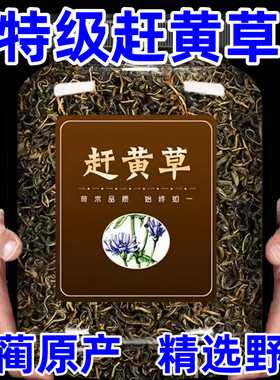 古蔺赶黄草 正宗养护肝茶叶特产级野外生非溪黄草 熬夜常备养生茶
