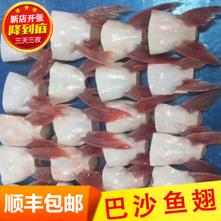 【巴沙鱼鳍】新鲜巴沙鱼鳍鮰鱼鳍鱼腩鱼划水鱼肥油鱼翅鱼肚鱼下巴
