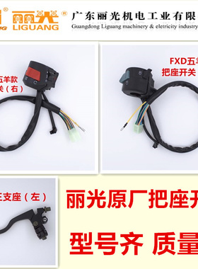 丽光原厂把座开关摩托车左右手把总成原装配件转向启动铝合金油门