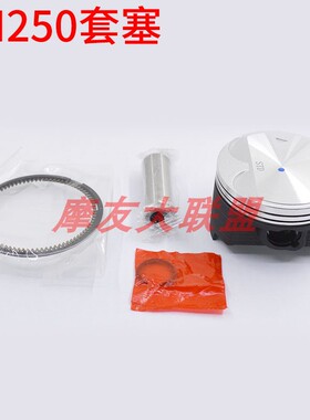 适用铃木AN250 天浪250 Burgman250 Skywave250 活塞 活塞环