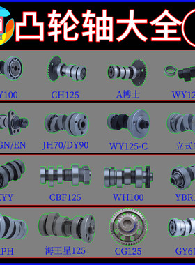 凸轮轴DY100 GS125 CG200 CBF YBR KYY YBR125 CB250 XV250凸轮