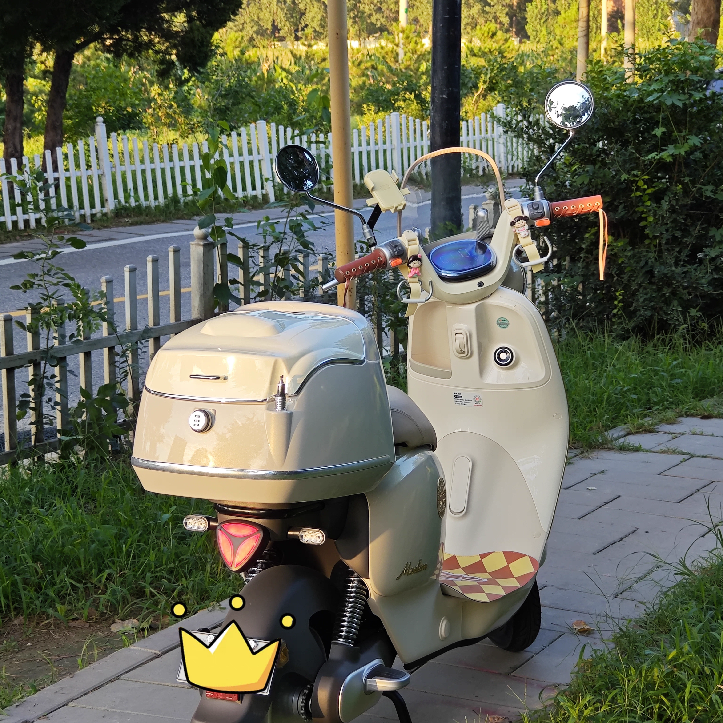 适用于 爱玛Q5电动车后备箱 爱玛仰望踏板摩托车大号尾箱 铝尾架