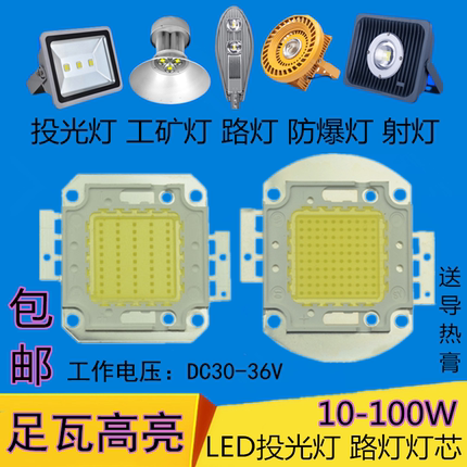 高亮led灯珠20W30W50W100瓦集成芯片路灯防爆射灯工矿投光灯灯芯