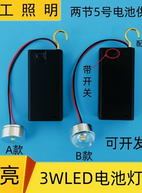 3vled灯泡3w灯珠电池夜灯灯笼DIY无线手工小彩灯迷你小灯泡带开关