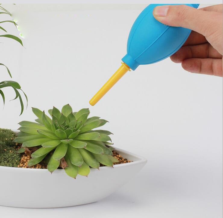 强力新款皮吹 吹耳球 多肉植物清洁工具 颜色随机发